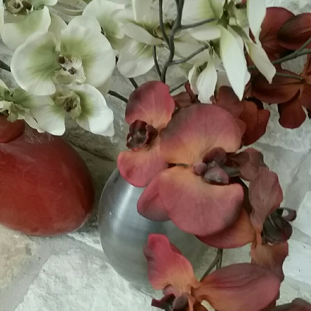 Meet your Posher, Reyna